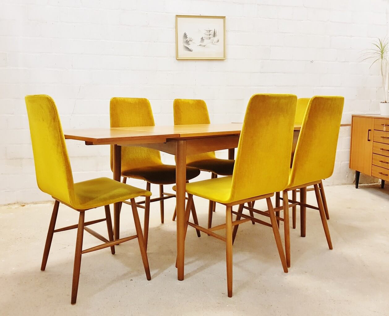 Mid Century Dining Chairs 6er Set Deklamo Designklassiker